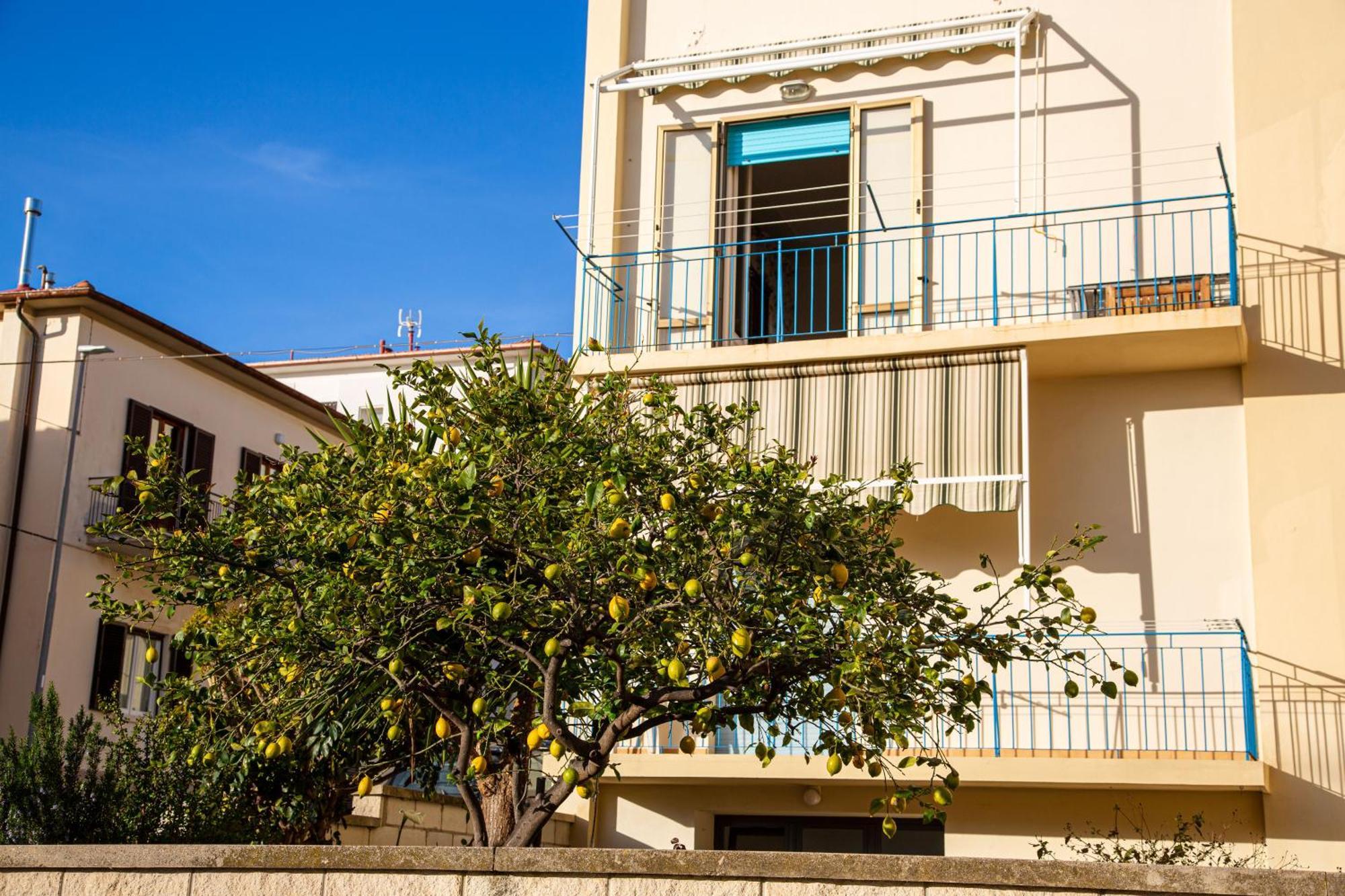 Appartamento Il Limone Zona Centrale Vista Mare San Vincenzo Exterior foto
